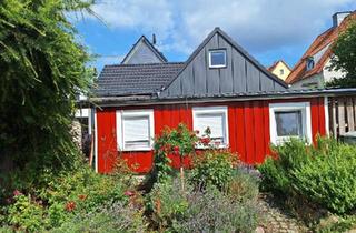 Haus kaufen in 31867 Lauenau, Lauenau - Zwei Häuser