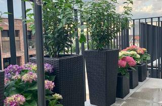 Wohnung kaufen in 50825 Ehrenfeld, Stilvolle 2-Zimmer-Wohnung mit großem Balkon in Köln-Ehrenfeld