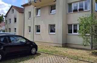 Wohnung mieten in Finkenweg 32, 17493 Eldena, Ruhige gelegene 1-Zimmer-Wohnung in Eldena - Greifswald