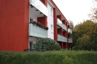 Wohnung mieten in Große Wiesen 13, 21217 Seevetal, Gut geschnittene 1 Raumwohnung mit Schlafnische! Aufzug vorhanden