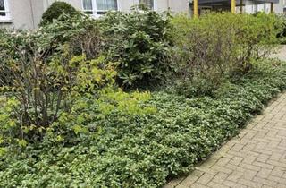 Wohnung mieten in Hilgerskamp 12, 30880 Laatzen, Hilgerskamp 12, 30880 Laatzen