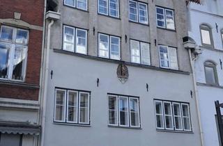 Lofts mieten in 23552 Innenstadt, Großzügige und loftartige 1-Zimmerwohnung im Herzen der Lübecker Altstadt