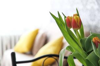 Wohnung mieten in 83233 Bernau, WILLKOMMEN DAHEIM ! Gemütliche 3-Zi-Whg, 95 m², Balkon, Bergblick, Chiemsee & Alpen