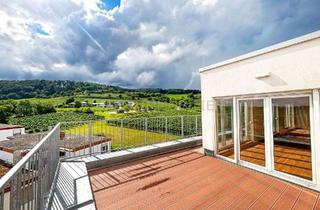 Penthouse mieten in 76887 Bad Bergzabern, Helle, großzügige 3-Zimmer Penthouse mit traumhaften Fernblick - zentrale Lage