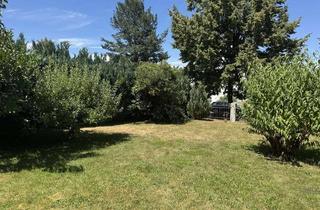 Einfamilienhaus kaufen in 65812 Bad Soden, Freistehendes Einfamilienhaus auf großem Grundstück mit Entwicklungspotential