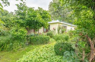 Haus kaufen in 21706 Drochtersen, Freiraum für Ihre Ideen – Bungalow auf großem Grundstück in ruhiger Lage