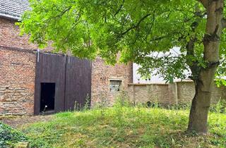 Haus kaufen in 61200 Wölfersheim, Alte Mauern, neue Ideen – traditionsreiche Hofreite mit viel Raum für Neues!