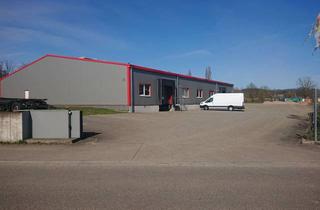 Gewerbeimmobilie mieten in Denzlinger Straße 43, 79312 Emmendingen, Moderne Gewerbehalle in Emmendingen – ca. 1000 m²
