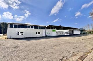 Büro zu mieten in 66862 Kindsbach, Kindsbach - Großzügige Lagerhalle mit separatem Büro und WC-Anlagen