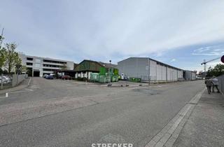 Gewerbeimmobilie kaufen in 75203 Königsbach-Stein, Ohne zusätzliche Käuferprovision - ehemalige Tennishalle zw. Karlsruhe und Pforzheim
