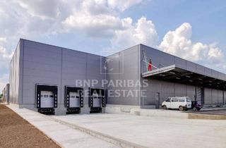 Büro zu mieten in 50226 Frechen, Provisionsfrei | Moderne Lager- und Büroflächen am attraktiven Standort Frechen