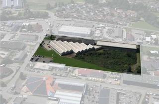 Gewerbeimmobilie kaufen in Robert-Bosch-Straße, 88499 Riedlingen, Produktionshalle in bester Lage
