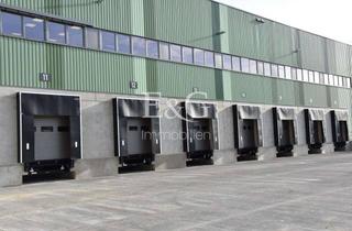 Gewerbeimmobilie mieten in 76646 Bruchsal, Logistikneubau an der A5