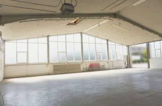 Gewerbeimmobilie kaufen in 63477 Maintal, Gew.-Anwesen, Maintal, Hallen und Wohnhaus, Grd. 6450 m²