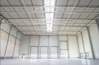 Gewerbeimmobilie mieten in 87787 Wolfertschwenden, NEU | Moderne Neubau Halle mit Top-Lage direkt an der A7 / A96
