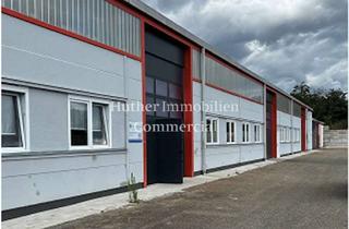 Gewerbeimmobilie mieten in 68775 Ketsch, Lagerhalle in Ketsch