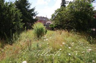 Grundstück zu kaufen in 06231 Tollwitz, Traumhaft großes Grundstück in Tollwitz bei Markranstädt zum Traumhausbau!