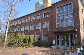 Büro zu mieten in 13509 Wittenau, Individuelle Kleinbüros mit Stil & Substanz in Reinickendorf - 52m²