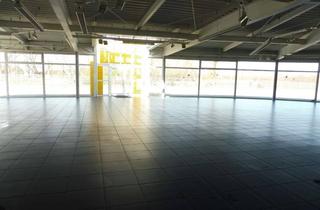 Gewerbeimmobilie kaufen in 84130 Dingolfing, Gewerbeimmobilie mit Ausstellung, Hallen gepflasterter Freifläche - vielseitig nutzbar- zu verkaufen