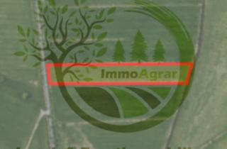 Gewerbeimmobilie kaufen in 39624 Kalbe, Verkaufe 2,06 ha Grünland in 39624 Kalbe (SAW)