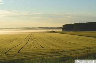 Gewerbeimmobilie kaufen in 49545 Tecklenburg, Vielseitige Landwirtschaftsfläche mit 5,29 ha in Brochterbeck!