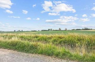 Gewerbeimmobilie kaufen in 68623 Lampertheim, Grundstück in Lampertheim: Baugenehmigung liegt vor – Ihr Neubau-Projekt ist startklar!