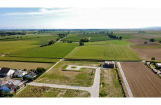 Wohnung kaufen in 76831 Billigheim-Ingenheim, Großzügige 3-Zimmer-Dachgeschosswohnung mit Dachterrasse - schwellenfrei (provisionsfrei)