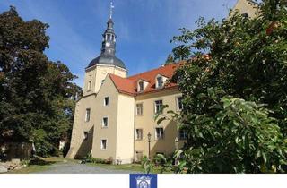 Wohnung mieten in 01796 Pirna, Ein Traum wird wahr! Märchenhaft Wohnen im Schloss Zehista!