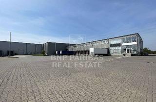 Gewerbeimmobilie mieten in 59469 Ense, Logistikcenter mit CrossDock | 42 Rampen | 24/7 | provisionsfrei