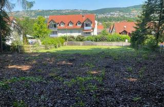 Grundstück zu kaufen in 93309 Kelheim, Seltene Gelegenheit! Schönes Hanggrundstück am Waldrand in Kelheim – ruhig & naturnah