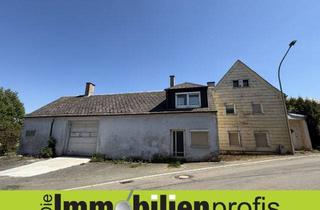 Haus kaufen in 95176 Konradsreuth, 1358 - Bei Konradsreuth: Haus mit Lagerhalle und Werkstatt