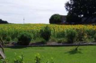 Wohnung kaufen in 86150 Augsburg, Augsburg - Natürliche 130qm! Garten-Wohnung, Horgau, 4KmBAB A8