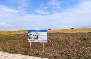 Einfamilienhaus kaufen in 73257 Köngen, Köngen - Wohnen, wo die Natur beginnt - Sonniges EFH am Ortsrand von Köngen