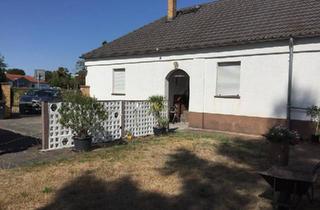 Einfamilienhaus kaufen in 03253 Doberlug-Kirchhain, Doberlug-Kirchhain - Einfamilienhaus mit vielen Möglichkeiten