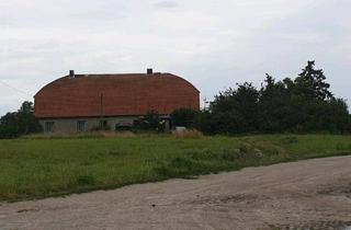 Haus kaufen in 17391 Neetzow-Liepen, Neetzow-Liepen - Verkaufe 2 Haushälften mit 5400 qm Grundstück!