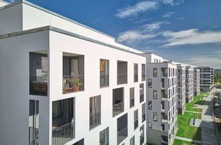 Wohnung mieten in Friedenauer Höhe 24, 12159 Friedenau, Smyles - Studio-Apartment mit Einbauküche in der Friedenauer Höhe