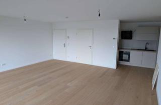 Wohnung mieten in Cracauer Str. 91, 47799 Cracau, Erstbezug nach Sanierung mit Balkon und EBK: Stilvolle 2-Raum-Wohnung mit geh. Innenausstattung