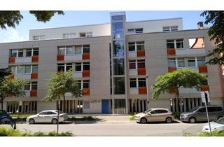 Wohnung mieten in 31785 Hameln, *Modernes 1-Zimmerappartement mitten in Hameln*