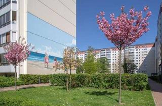 Wohnung mieten in Zingster Str. 44, 13051 Neu-Hohenschönhausen, moderne 1-Zimmerwohnung in Berlin-Neuhohenschönhausen