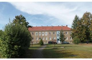 Wohnung mieten in Menzelstraße 8a, 15806 Zossen, modernisierte 2-Raum Wohnung im Erdgeschoss