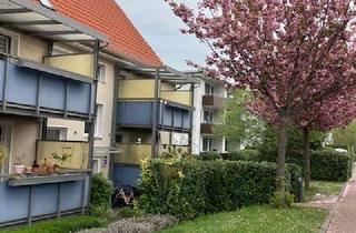 Wohnung mieten in Süntelstr. 29, 31848 Bad Münder, 2 ZKB im Erdgeschoss mit Balkon!