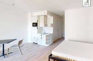 Wohnung mieten in Paul-Gossen-Straße 117a, 91052 Erlangen, Für Singles & Pendler: Möblierte 1-Zimmer-Wohnung