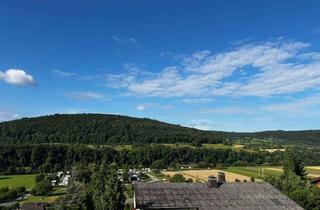 Wohnung mieten in 74865 Neckarzimmern, 1200 € - 110 m² - 4.0 Zi.