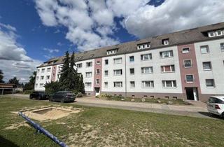 Wohnung mieten in 04886 Beilrode, 2-Raum-Wohnung im DG, im Nordring 9, 04886 Beilrode