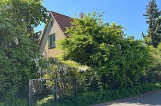 Einfamilienhaus kaufen in 04179 Leutzsch, Einfamilienhaus im Leutzscher Villenviertel sucht neue Familie