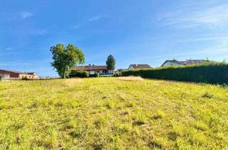 Einfamilienhaus kaufen in 73650 Winterbach, Traumhafte Aussichtslage! Freistehendes Einfamilienhaus mit Blicks ins Grüne!