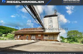 Gewerbeimmobilie kaufen in 67680 Neuhemsbach, Sie hier? Wir auch! Fabrikgelände, 4.871 m² Grundstück–Ansehliche Kapitalanlage mit großem Potential