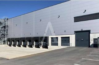 Gewerbeimmobilie mieten in 53840 Troisdorf, *PROVISIONSFREI* NEUBAUHALLE IN TROISDORF | MIETE | RAMPE & EBENERDIG | ANGERMANN NRW