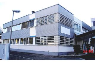 Gewerbeimmobilie mieten in 65428 Rüsselsheim, *** RÜ-KÖNIGSTÄDTEN VON PRIVAT: HOCHWERTIGE HALLE (GESCHÄFTSFLÄCHE) & BÜROFLÄCHE in TOP LAGE! ***