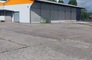 Büro zu mieten in Dickenhardt 4-6, 78054 Villingen-Schwenningen, Halle und Büro zu vermieten zwischen 600 und 1200m² mit 5Tonnen Kranbahn